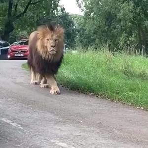 Meet your Posher, Muhammad